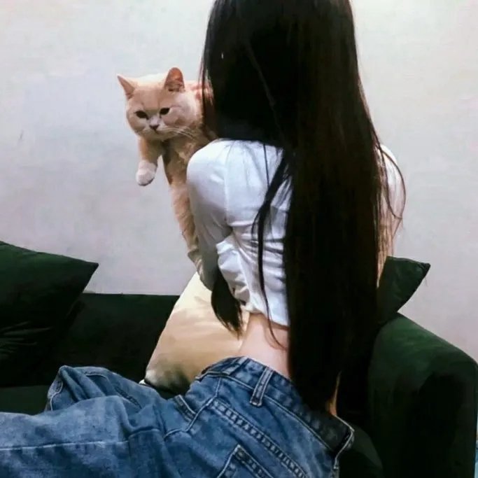 回忆积木小屋
